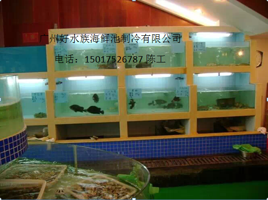 广州定做海鲜池 广州大型定做海鲜池广州海鲜池鱼缸制造