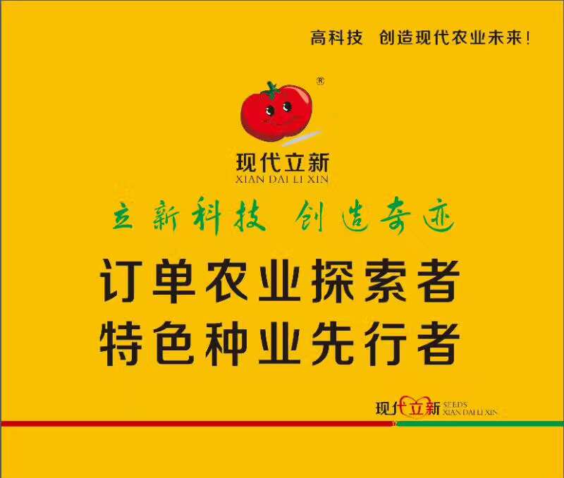 广西水果超甜白金水果玉米种子广西种子公司特种玉米种子广西现代立新农业科技有限公司图片
