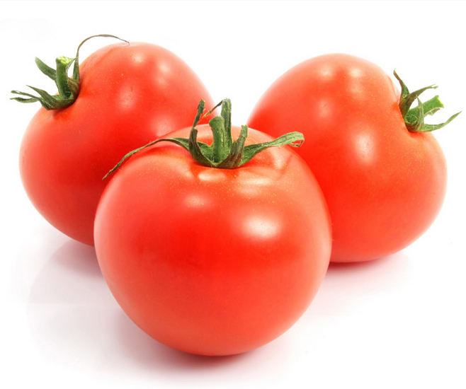 潍坊市西红柿种植销售厂家寿光市西红柿种植销售  蔬菜种植