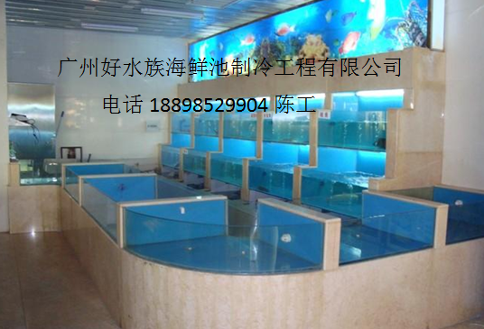 广州定做水产店海鲜池定做图片