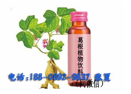 南京市专业加工各种植物饮料饮品厂家