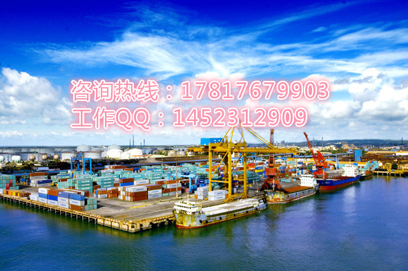 专业湛江散货船出口海运代理服务公司