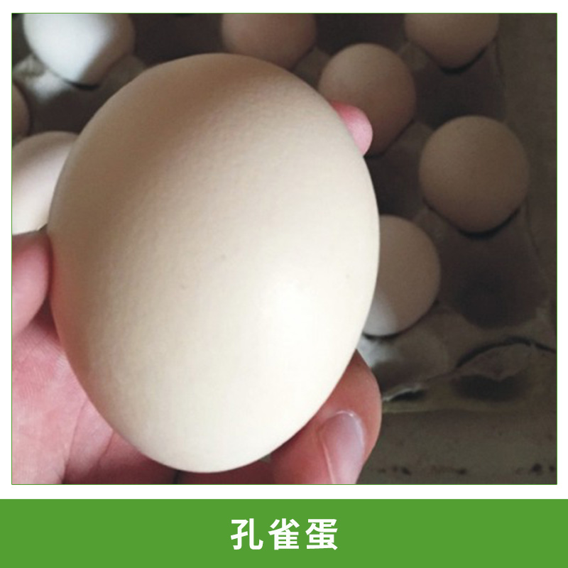 热销孔雀蛋、凤凰蛋、健康蛋、低胆固醇营养蛋健康选特种禽蛋包邮图片