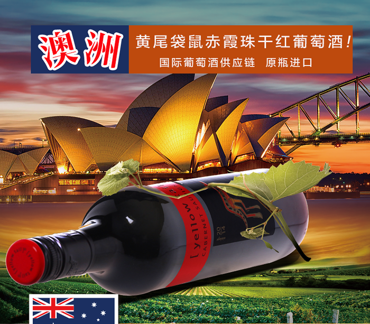 广州进口红酒批发供应批发澳洲黄尾袋鼠赤霞珠干红