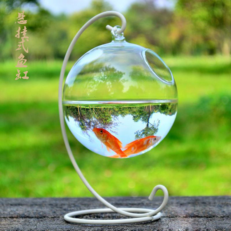 玻璃鱼缸创意悬挂式玻璃花瓶 悬挂式玻璃花瓶吊球  家居摆件玻璃鱼缸