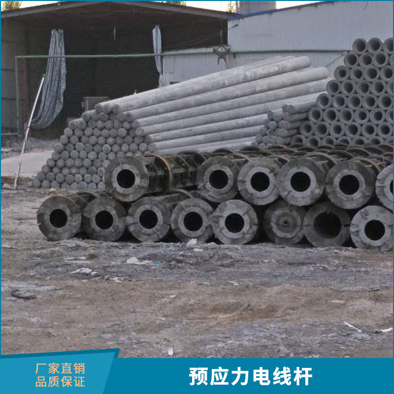 济宁山力水泥制品供应预应力电线杆钢筋混凝土电杆水泥电线杆图片