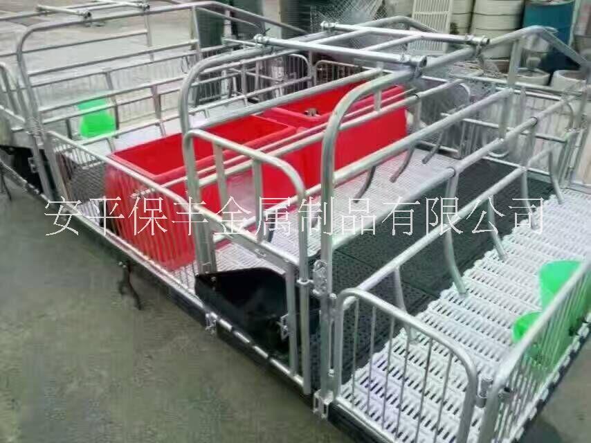 河北猪产床养殖设备批发母猪产床加工定制母猪分娩床供应商