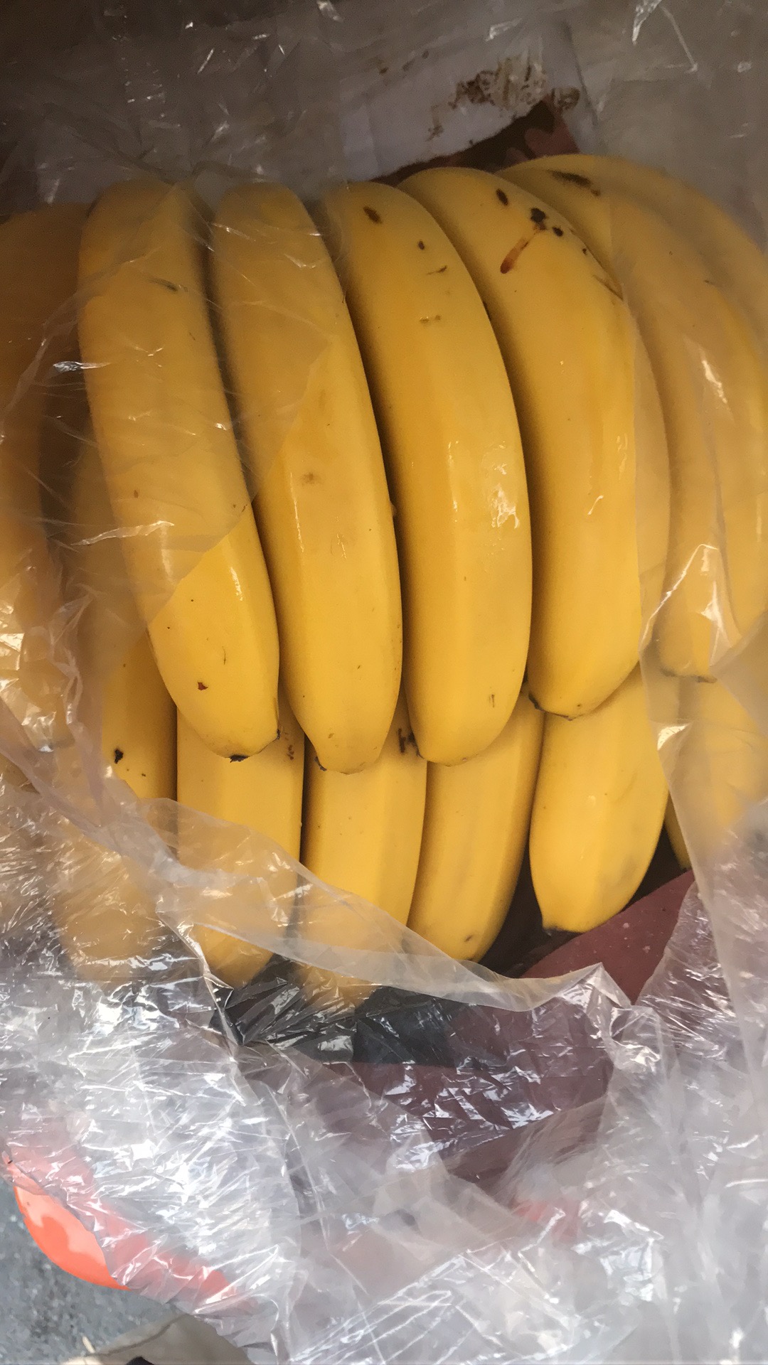 郑州火龙果批发   香蕉批发  各种水果供应