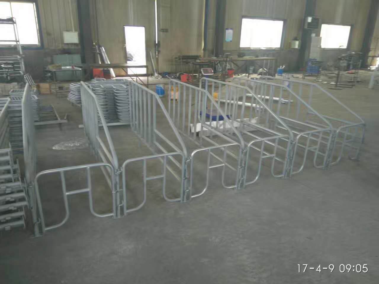 利祥农牧供应养猪设备母猪限位栏