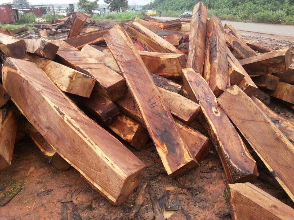 木材进口报关供应木材进口报关代理公司图片