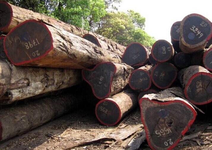 进口非洲木材所需要的单证木材进口报关图片
