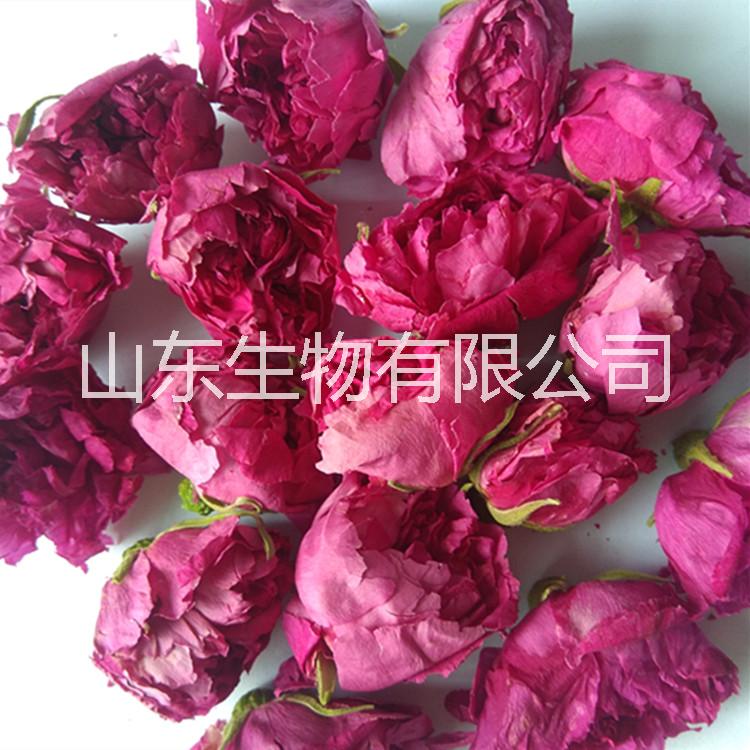 济宁市玫瑰花粉  来料粉碎 玫瑰花厂家玫瑰花粉  来料粉碎 玫瑰花