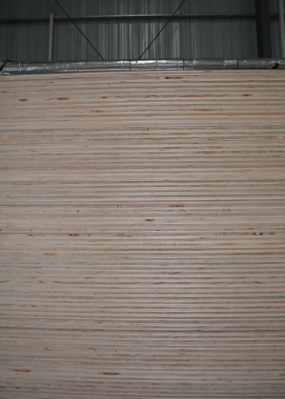 E1E0多层免漆生态板 免漆板报价 广西免漆板供货商 家具装饰板