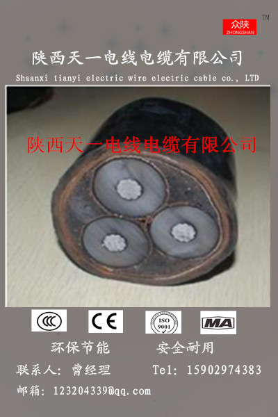西安市陕西YJV22-35KV高压电缆厂家