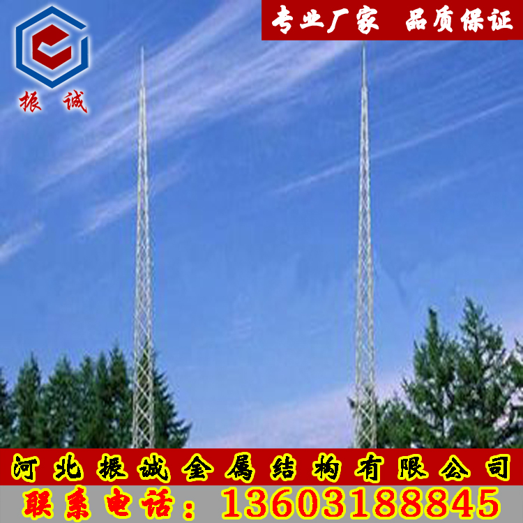 铁塔厂家供应10米-60米避雷塔、防雷塔、避雷针塔、肖雷塔图片