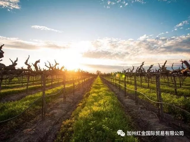 豪诗加州红葡萄酒2014年图片