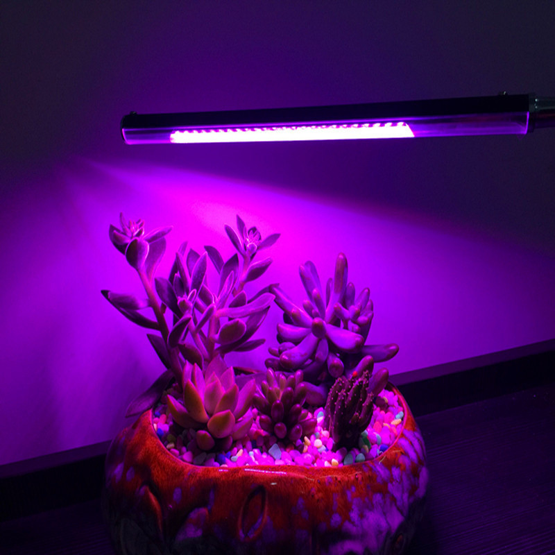 植物生长台灯新款LED植物生长灯 室内植物补光灯 全光谱桌面led植物灯红光