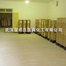 吡拉西坦吡拉西坦  厂家  武汉国邦达 优质原料7491-74-9