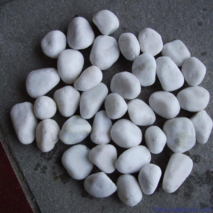 广东天然白色鹅卵石 鱼缸花盆养花白色小石头 庭院阳台铺地彩色园艺鹅卵石