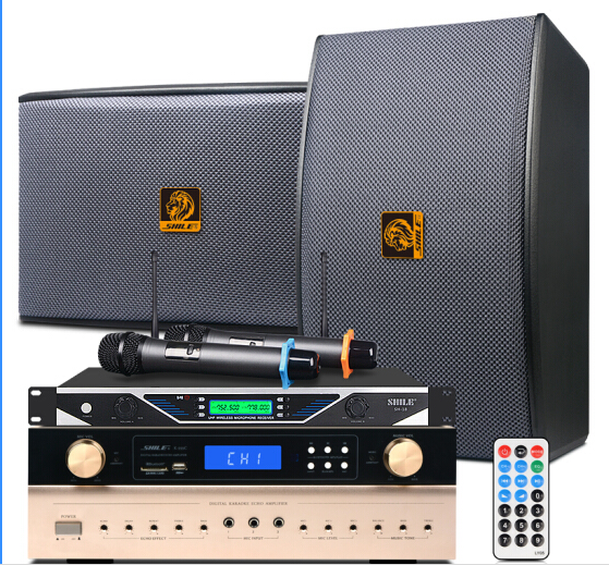 K555C/BX119音响套装家庭ktv会议室功放音箱组合客厅家庭影院 K555C(金色)+BX-119+SH18