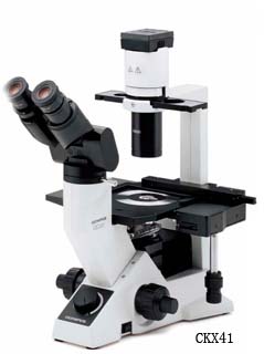 奥林巴斯倒置生物显微镜CKX41图片