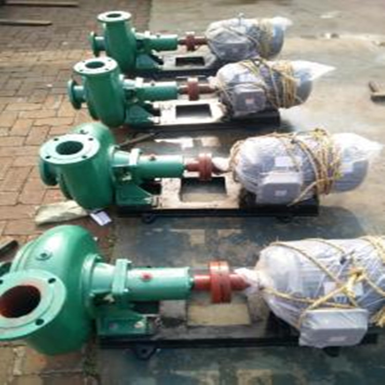 专业生产2.5PW型卧式离心污水泵 污水粪便排污泵 浆料输送杂质泵 成亚泵业