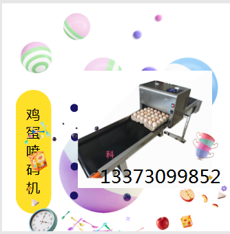 广州南区鸡蛋喷码机生产厂家13373099852