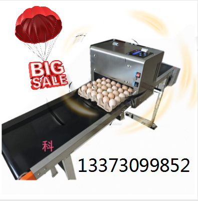 广州南区鸡蛋喷码机生产厂家13373099852
