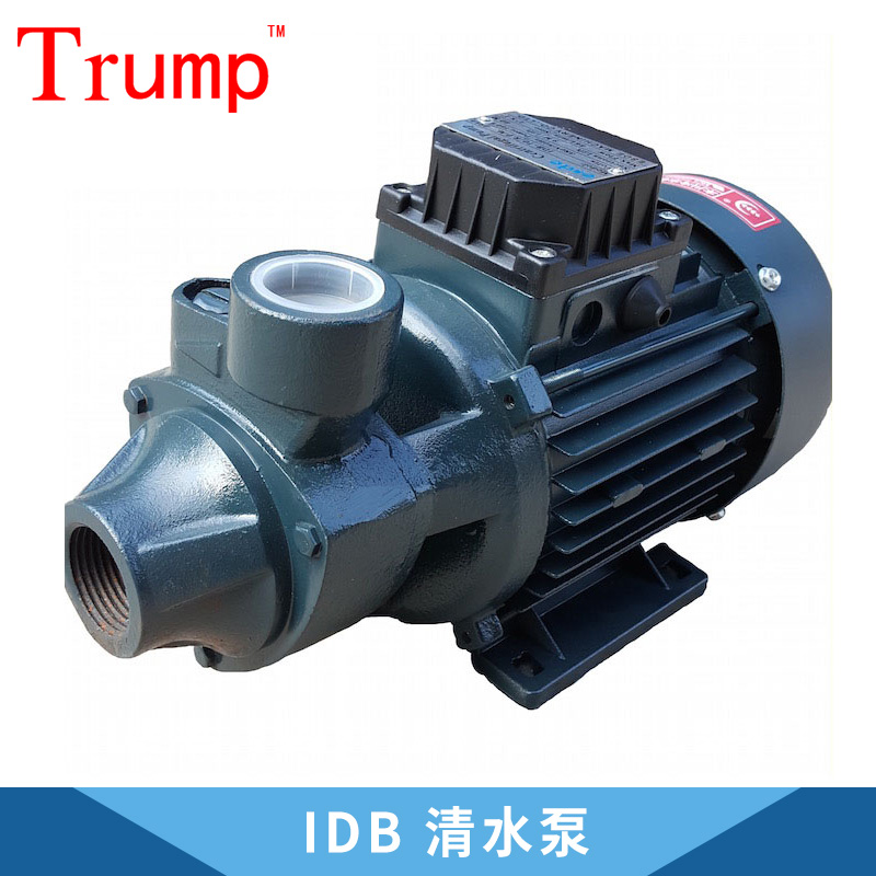 厂家直销 广东 IDB 清水泵 550W水泵 家用泵 水泵 品质保障