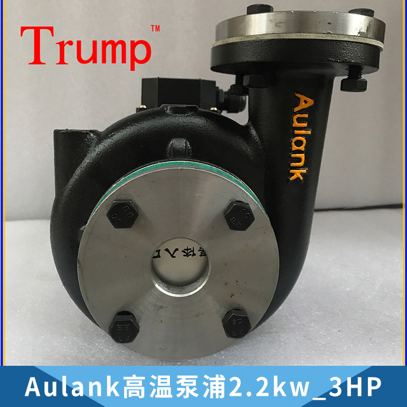 模温机油泵RGP-30－120导热油泵模温机油泵2.2kw/3hp热水泵 Aulank高温泵浦2.2kw