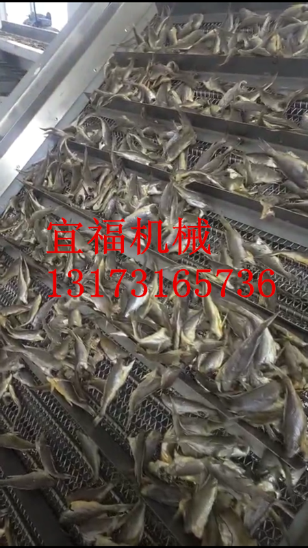 非洲金枪鱼罐头生产线厂家直销 鱼罐头生产线多少钱