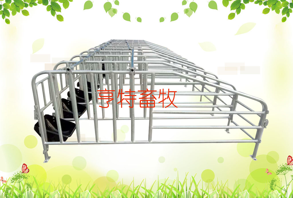 畜牧业母猪定位栏带钢板食槽亨特定做优质限位栏尺寸图片