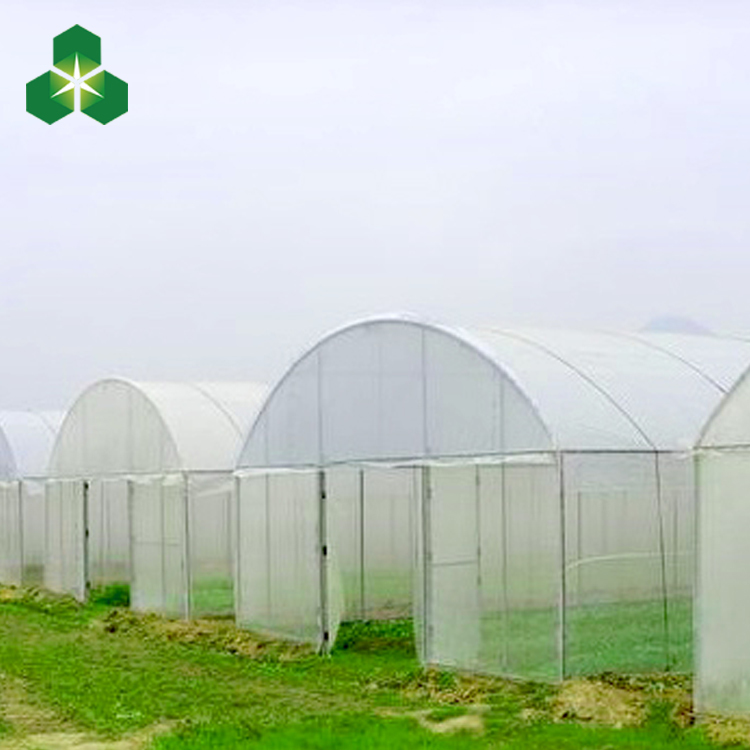 质量好的农用拱棚 单栋薄膜拱棚温室大棚专业建设出售质量好的温室