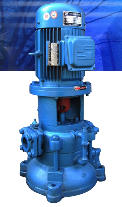 P-DLG立式多级离心泵、立式多级离心泵厂家直销、广东立式多级离