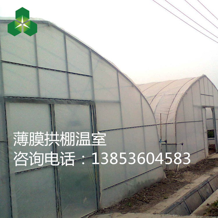 无立柱简易温室大棚 单栋温室建筑价格 单拱蔬菜温室大棚出厂价格图片