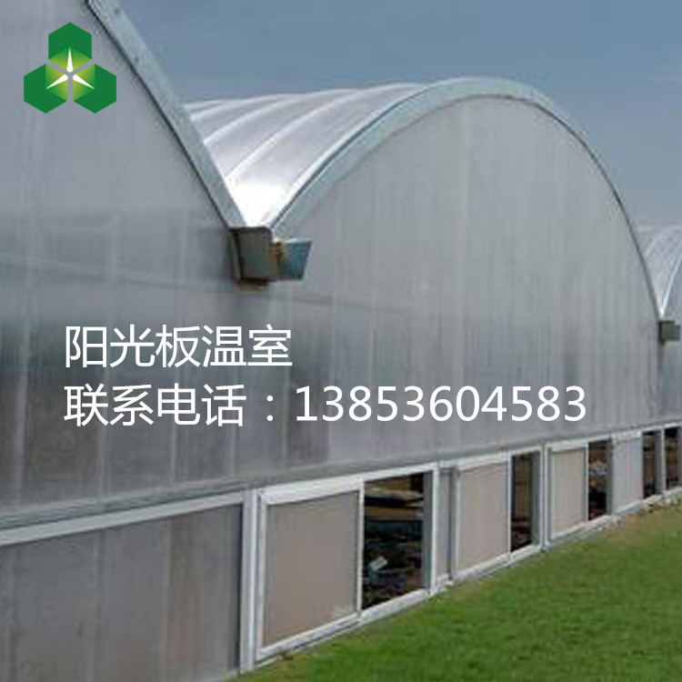 pc板温室大棚 山东阳光板温室大棚基地 pc板温室大棚的价格规格图片