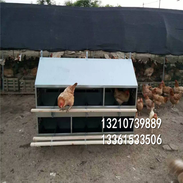 潍坊市蛋鸡用下蛋窝 人工捡蛋窝厂家