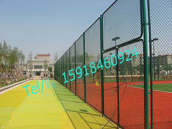广州浸塑包胶网定做球场网护栏价格从化篮球场围栏网现货图片