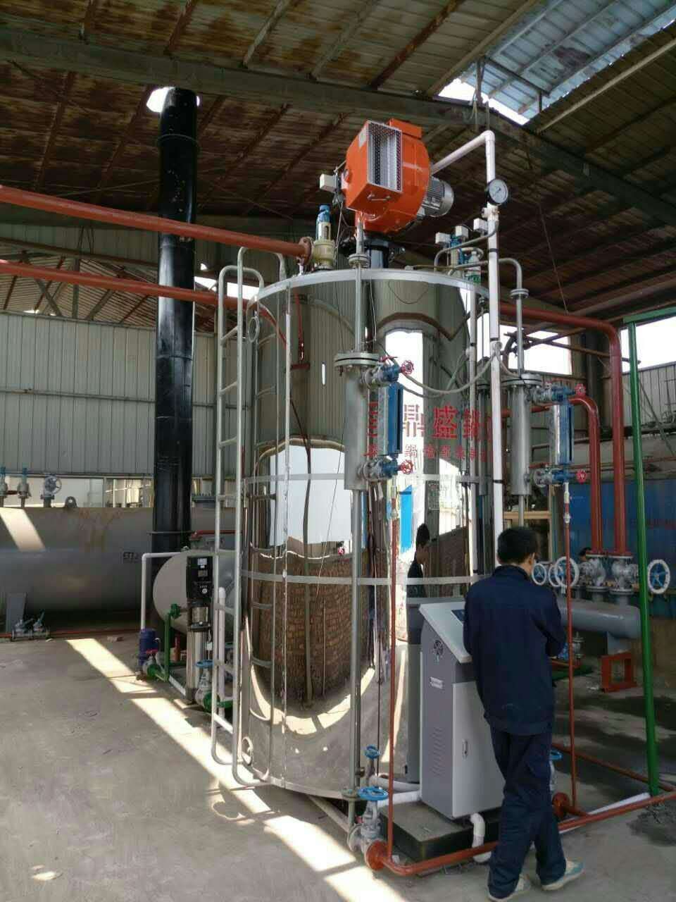 百阳丰LHS系列立式燃气蒸气锅炉图片