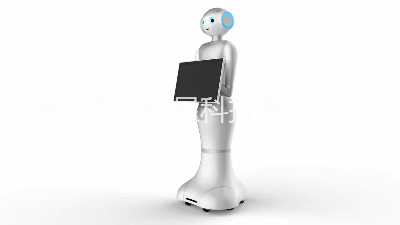美容店门面商务迎宾接待服务机器人 广告营销导购促销智能机器人