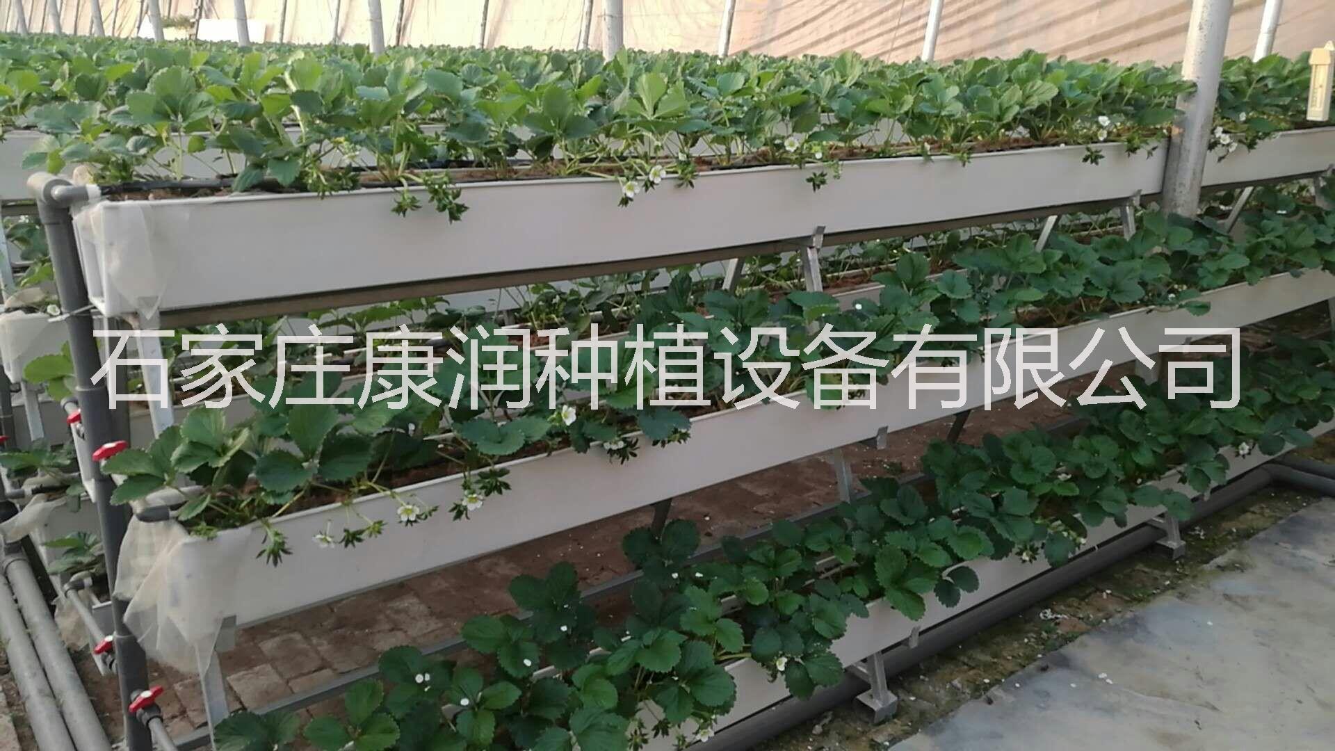 供应用于观光园采摘的全国直销绿色种植槽，绿色种植技术 全国绿色种植槽图片