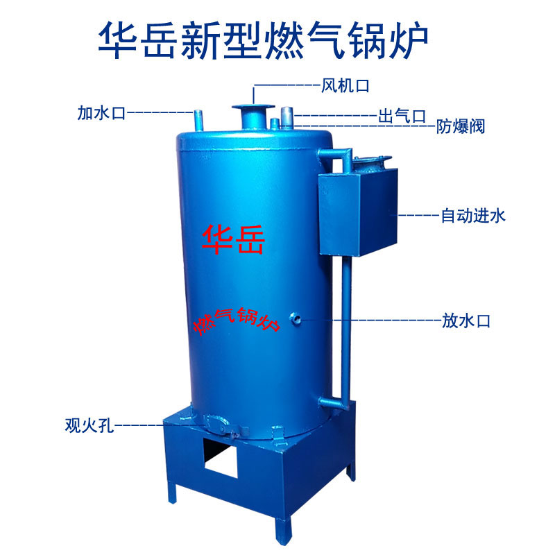 厂家直销燃气蒸汽锅炉 小型家用取暖锅炉 液化气馒头炉