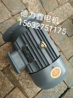 河北沧州泊头电机厂家供应0.55kw卸料器电机4级立式YE2-801-0.55-4三相异步电动机