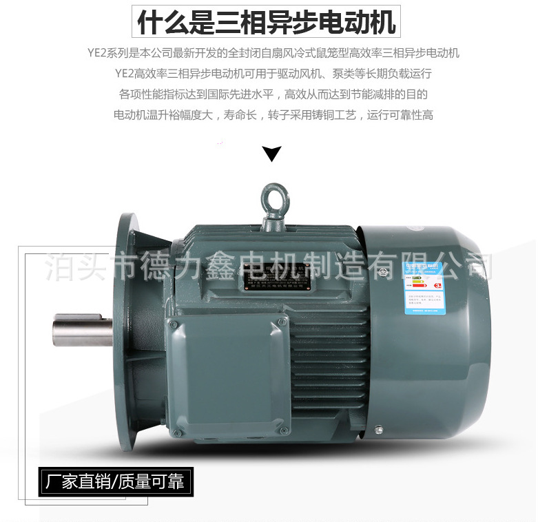 河北沧州泊头电机厂家供应4级立式卸料器电机国标铜包三相异步电动机YE2-801-4-0.55