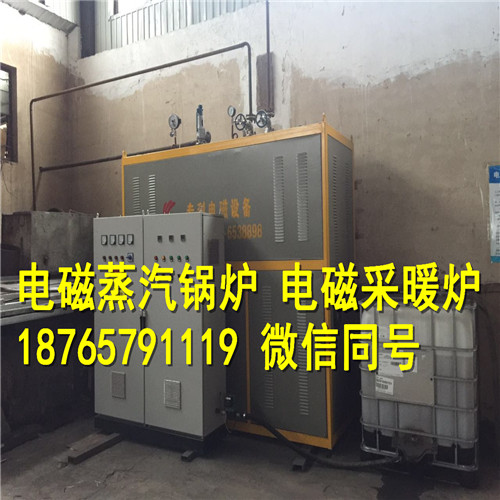 四川电磁蒸汽锅炉专业生产厂家 免费上门调试安装