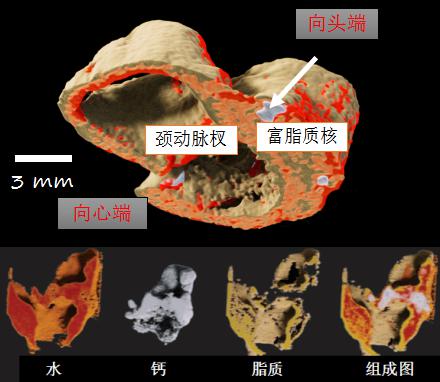 新西兰MARS 能谱扫描仪能谱仪