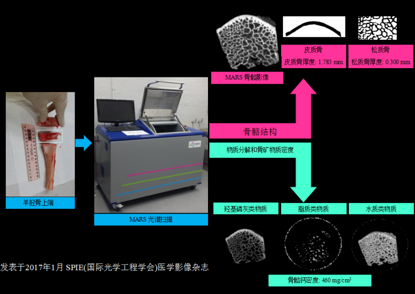 新西兰MARS 能谱扫描仪能谱仪