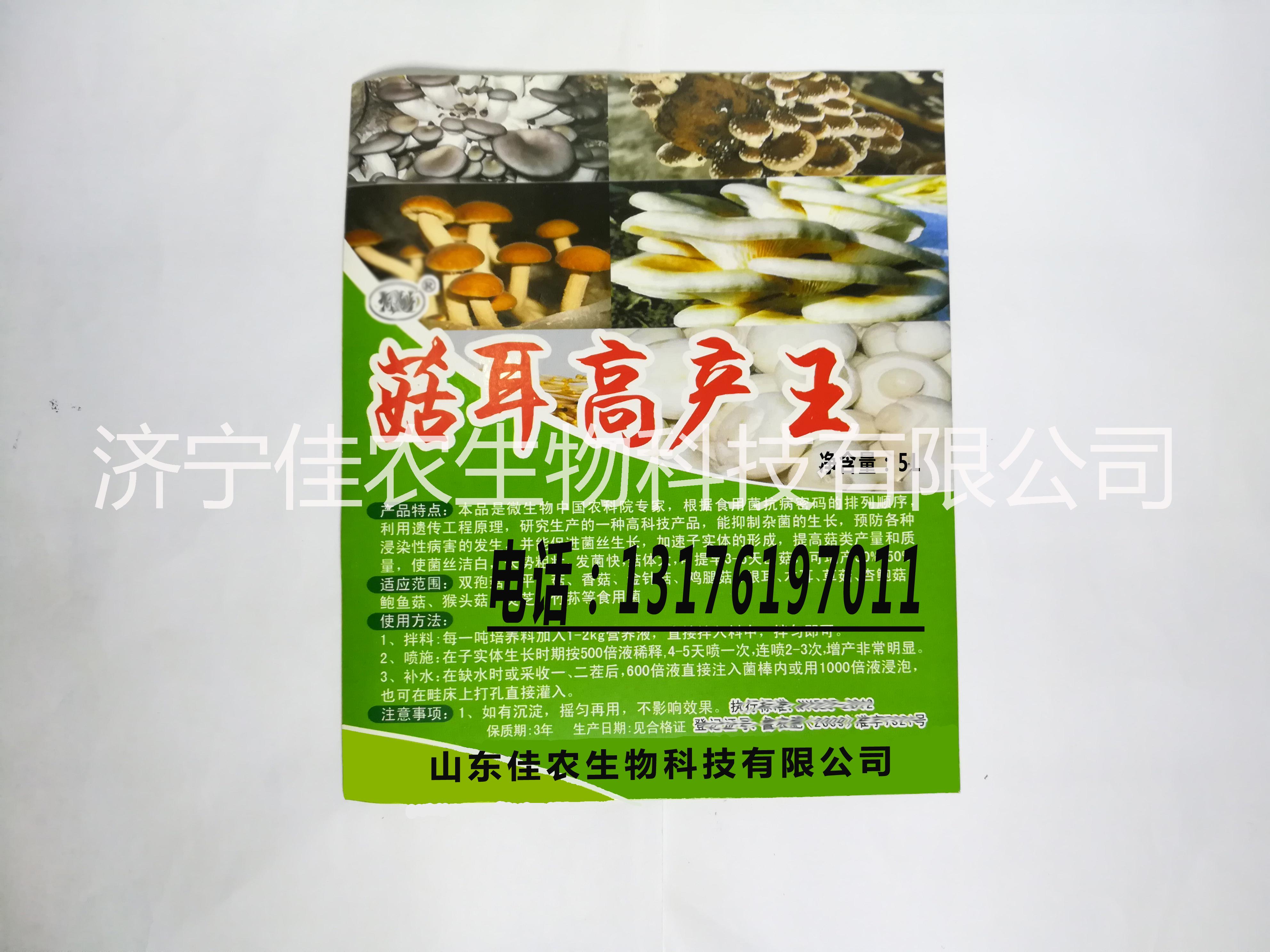 济宁市供应江西 菇耳高产王 食用菌大棚厂家