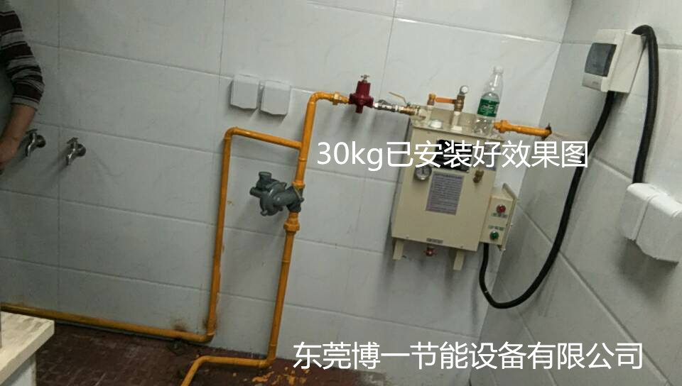 防爆壁挂气化器30KG全套二甲醚汽化炉煤气汽化炉厂家图片