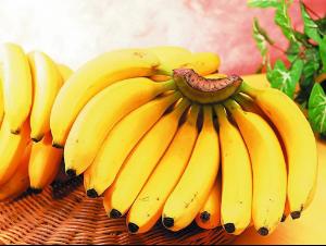 优质巴西香蕉苗 供应香蕉苗电话 供应香蕉优质种苗 供应巴西香蕉苗图片